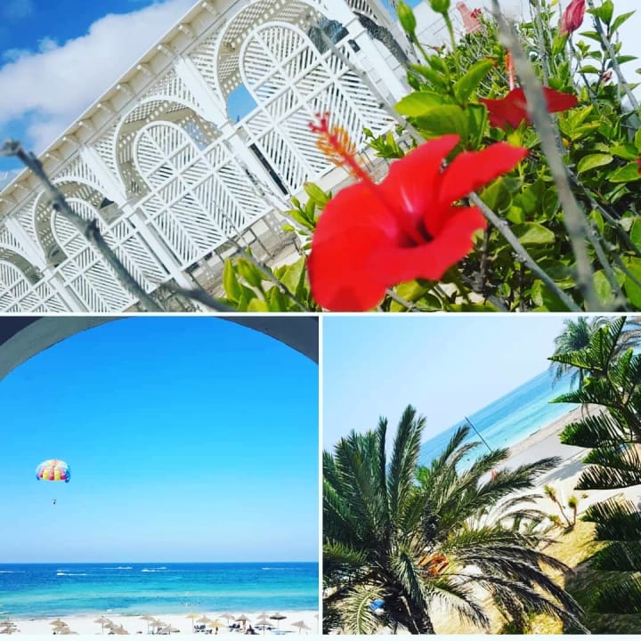 Gartenanlage Calimera Yati Beach