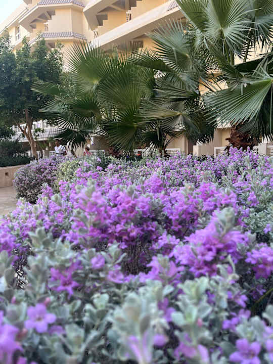 Außenansicht Sindbad Club