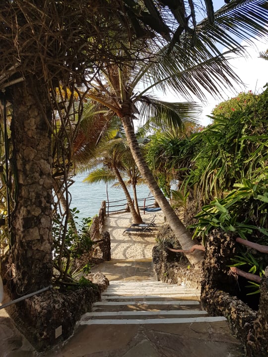 Gartenanlage Bahari Beach Hotel