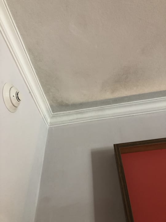 Zimmer Dreams La Romana Resort & Spa