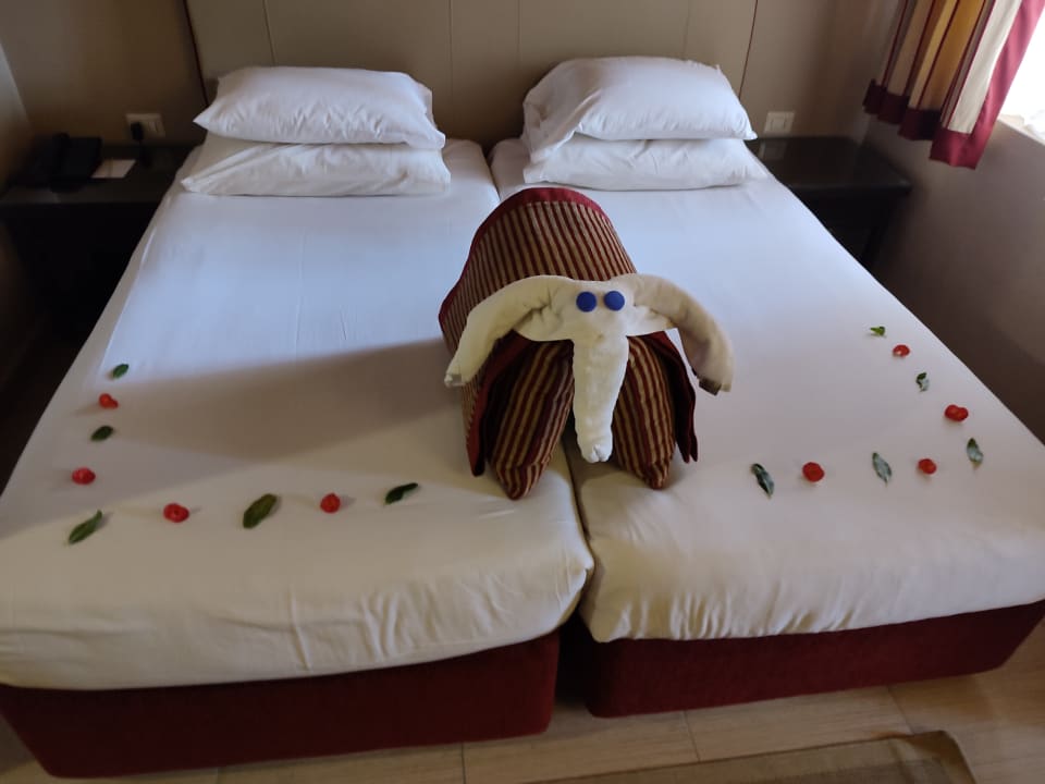 Zimmer Jaz Makadi Oasis Resort