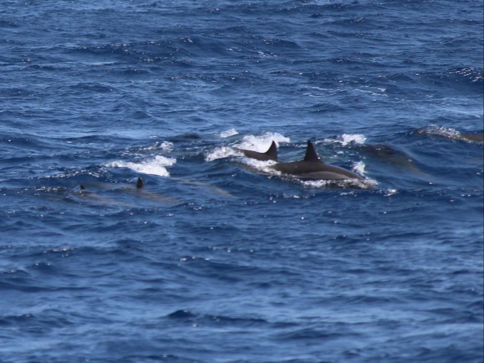 Strand Three Corners Sea Beach Resort