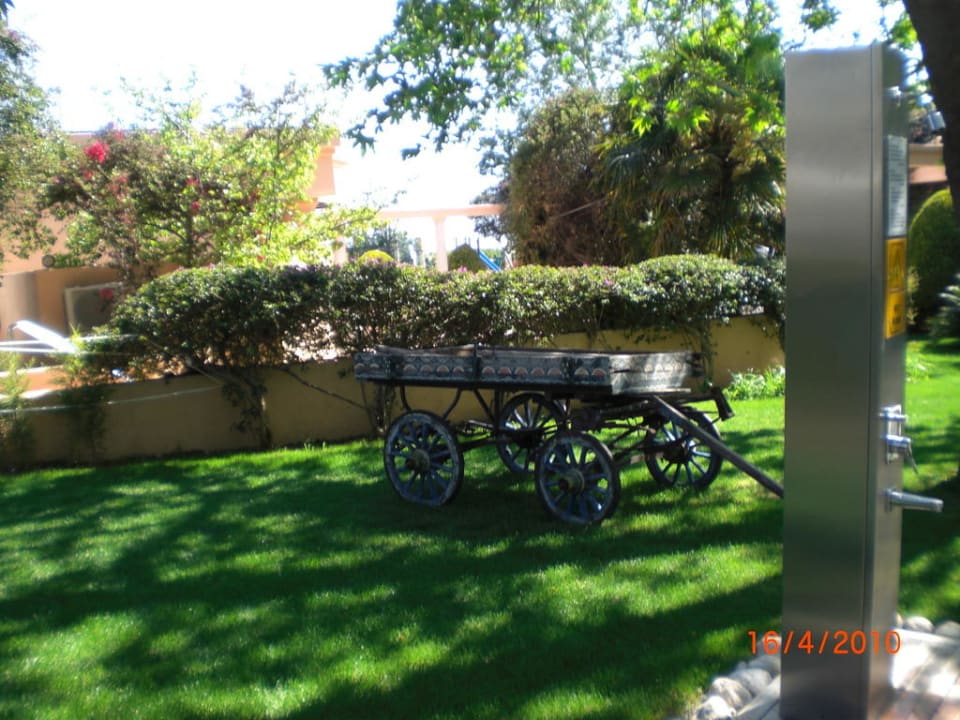 Garten Side Star Elegance