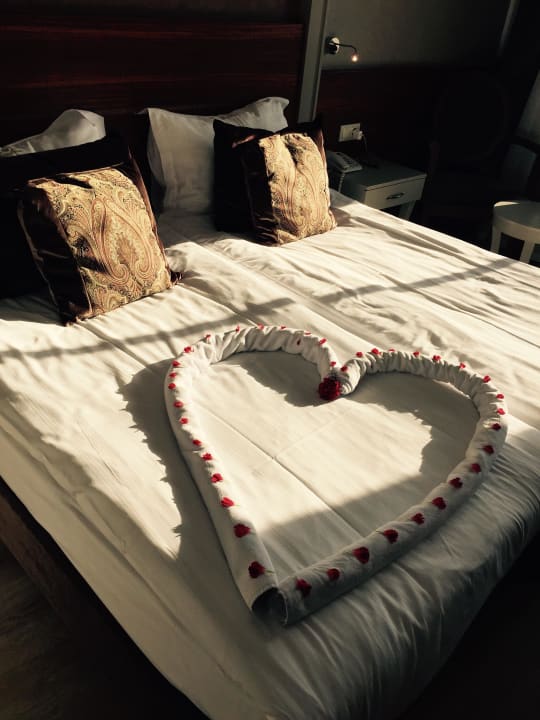 Zimmer Well Palace Side