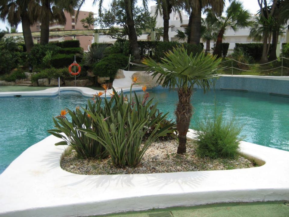 Pool Welikehotel Marfil Playa
