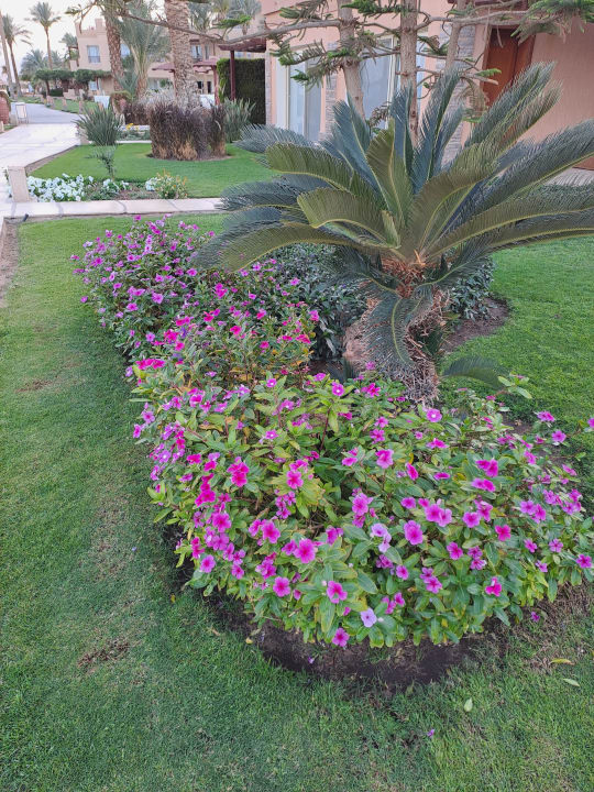 Außenansicht Shams Prestige Abu Soma-Adults Only