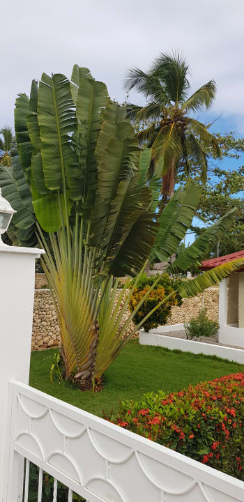 Garten Wyndham Alltra Samana