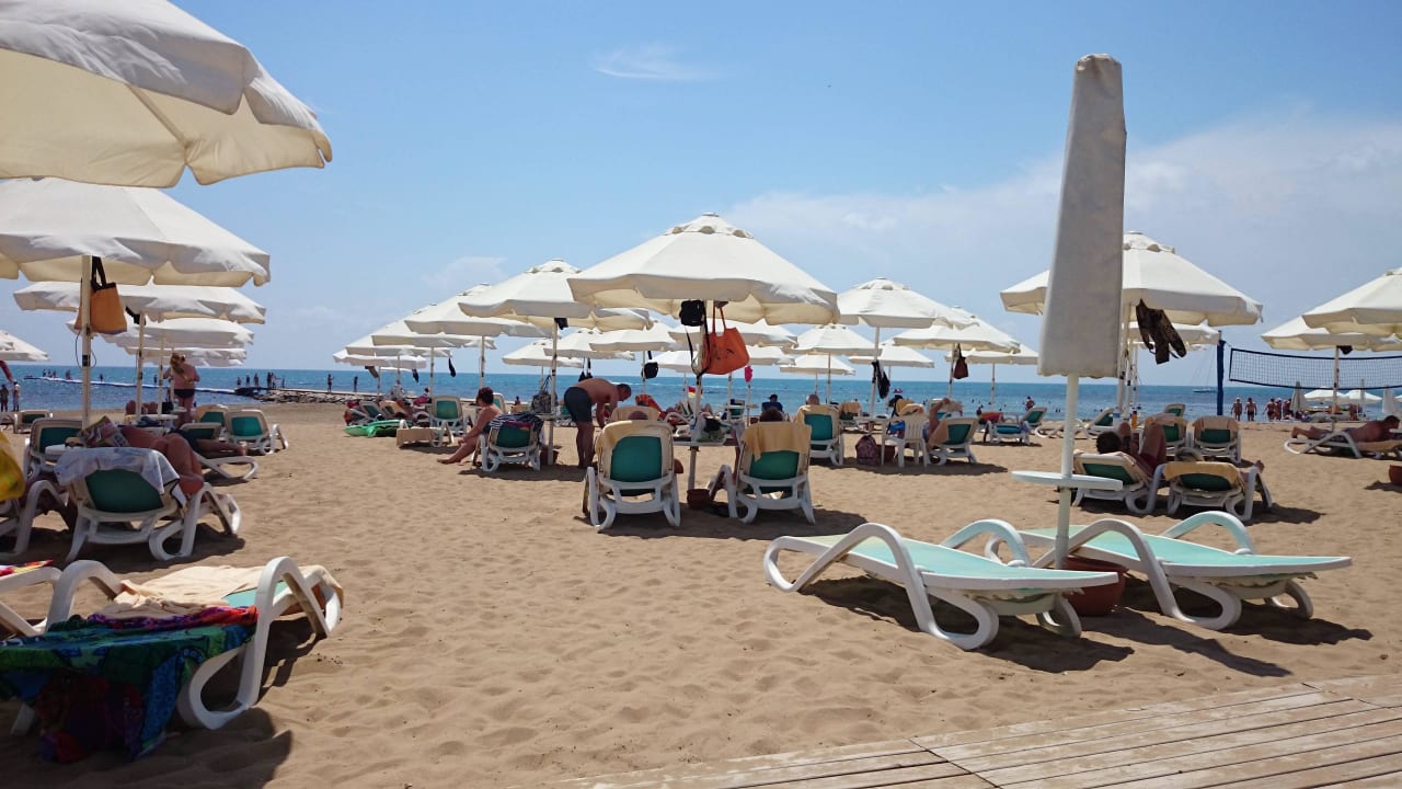 Einfach nur super PALOMA Perissia