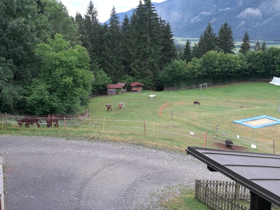 Sport & Freizeit Familienhotel Ramsi