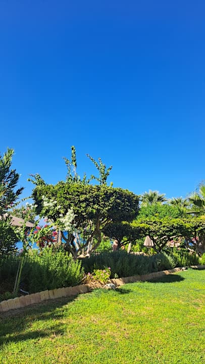 Gartenanlage Crystal Springs Beach Hotel
