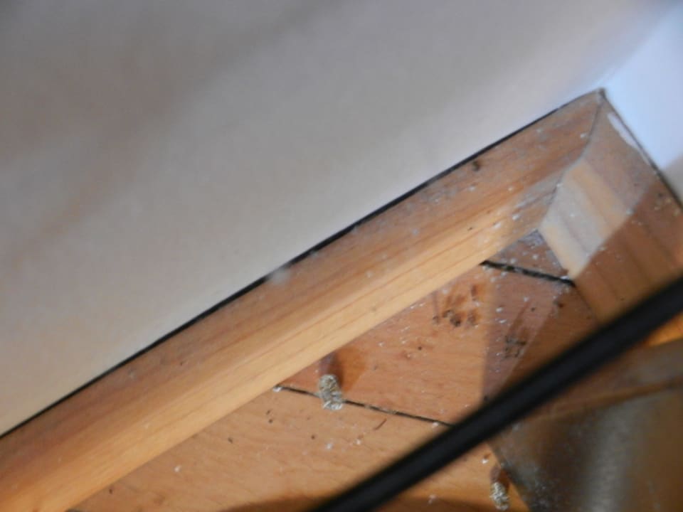 Fußboden hinter Fernseher, totes Ungeziefer, Dreck Villas Arbia - Rio & Magdalena