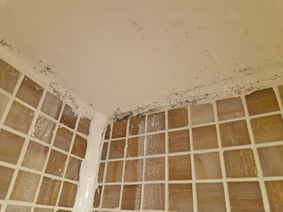 Zimmer Asteria Family Belek