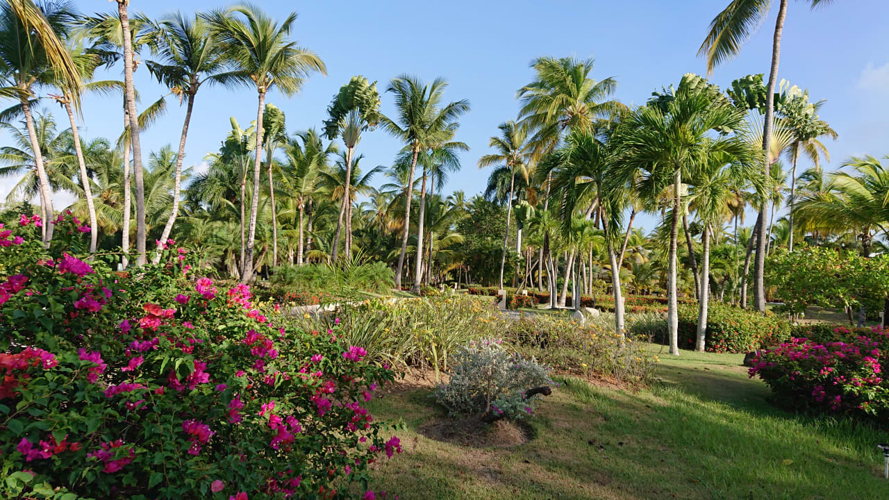 Außenansicht Meliá Caribe Beach Resort-All Inclusive