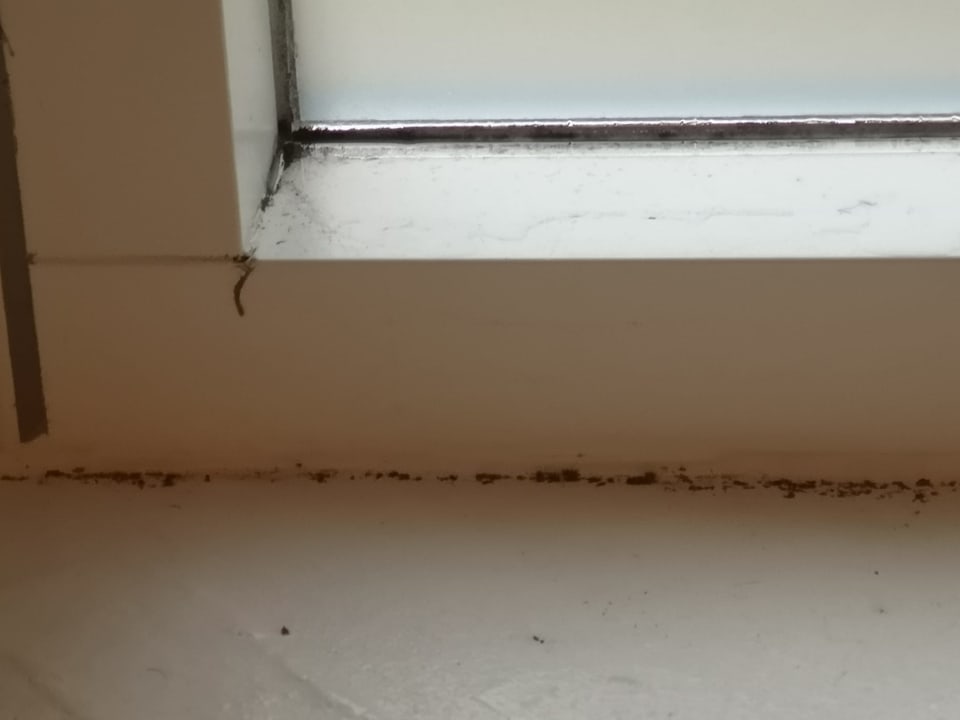 Zimmer Novasol Ferienhäuser