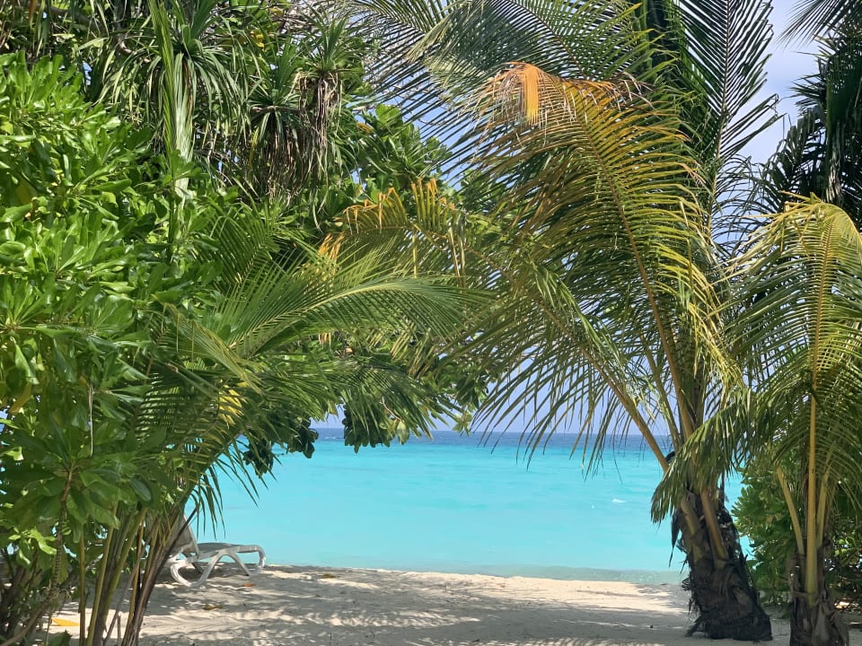 Strand Kuramathi Maldives