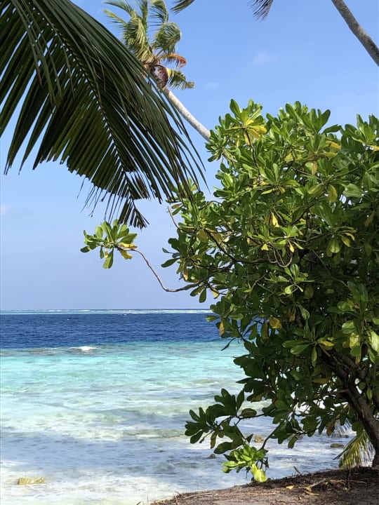 Gartenanlage Filitheyo Island Resort