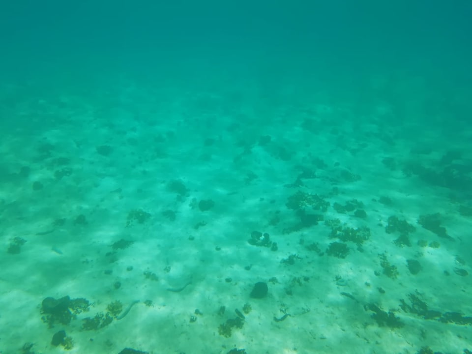 Strand Camping Strasko