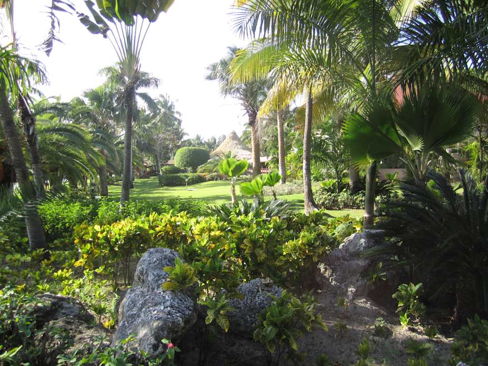 Schön Hotel Grand Palladium Palace Resort, Spa & Casino