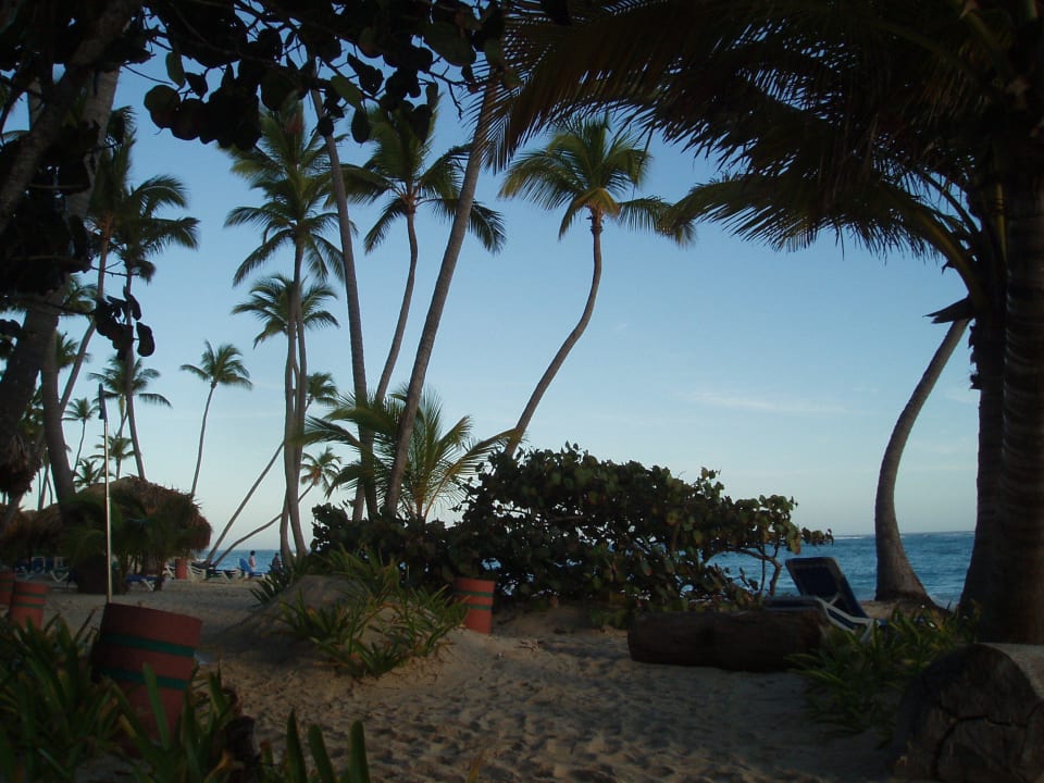 Strand Grand Palladium Select Bávaro Resort & Spa