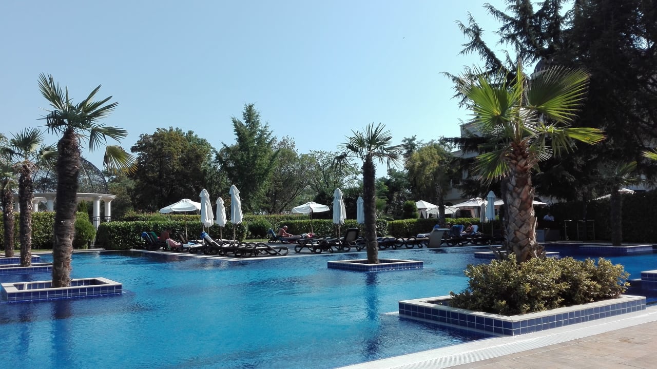 Pool Beach Albatros Resort