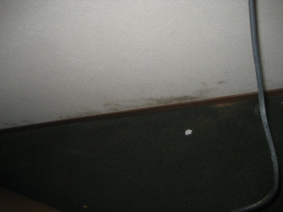 Schimmel Center Parcs De Eemhof