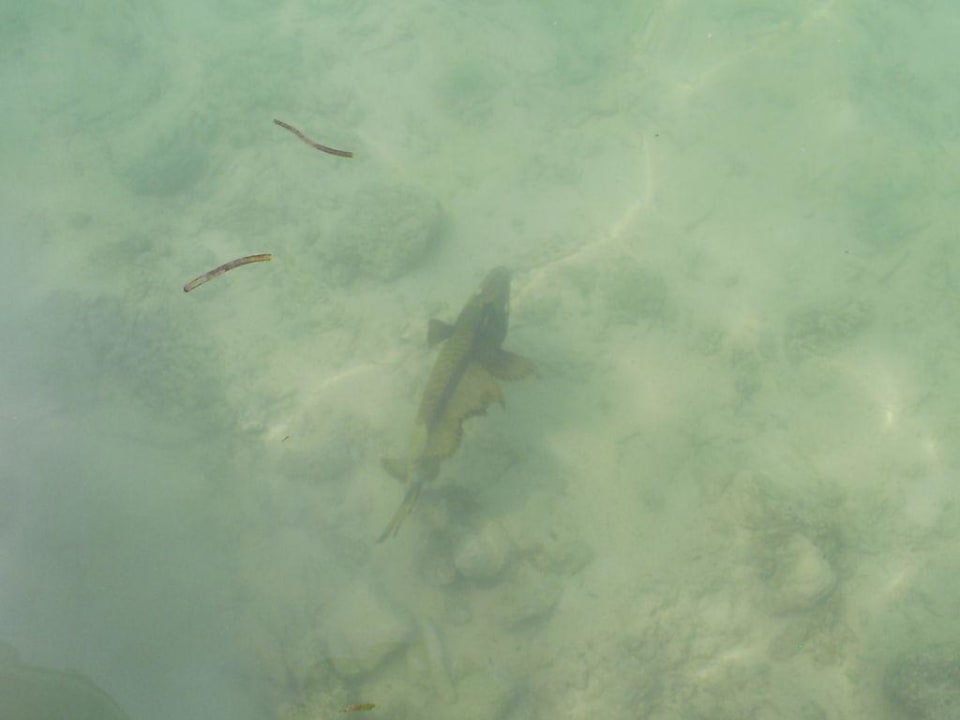 Fishies Adaaran Select Hudhuran Fushi - Premium All Inclusive