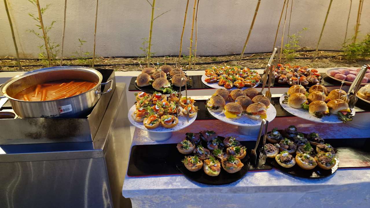 Gastro Seashell Vega