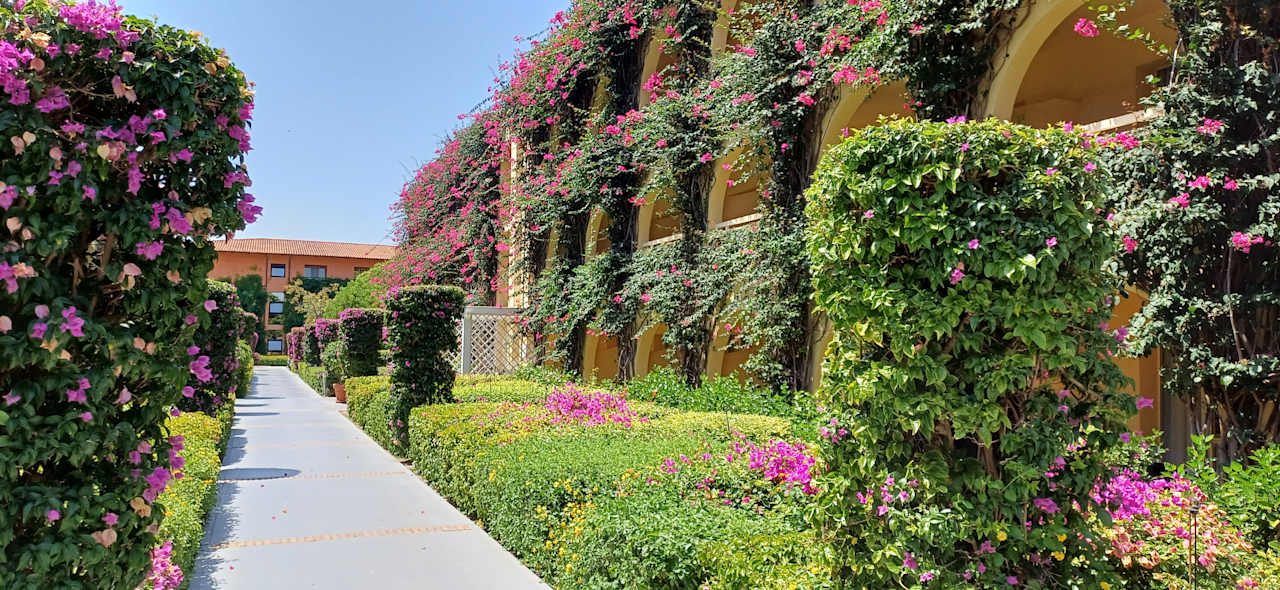 Außenansicht TUI MAGIC LIFE Calabria