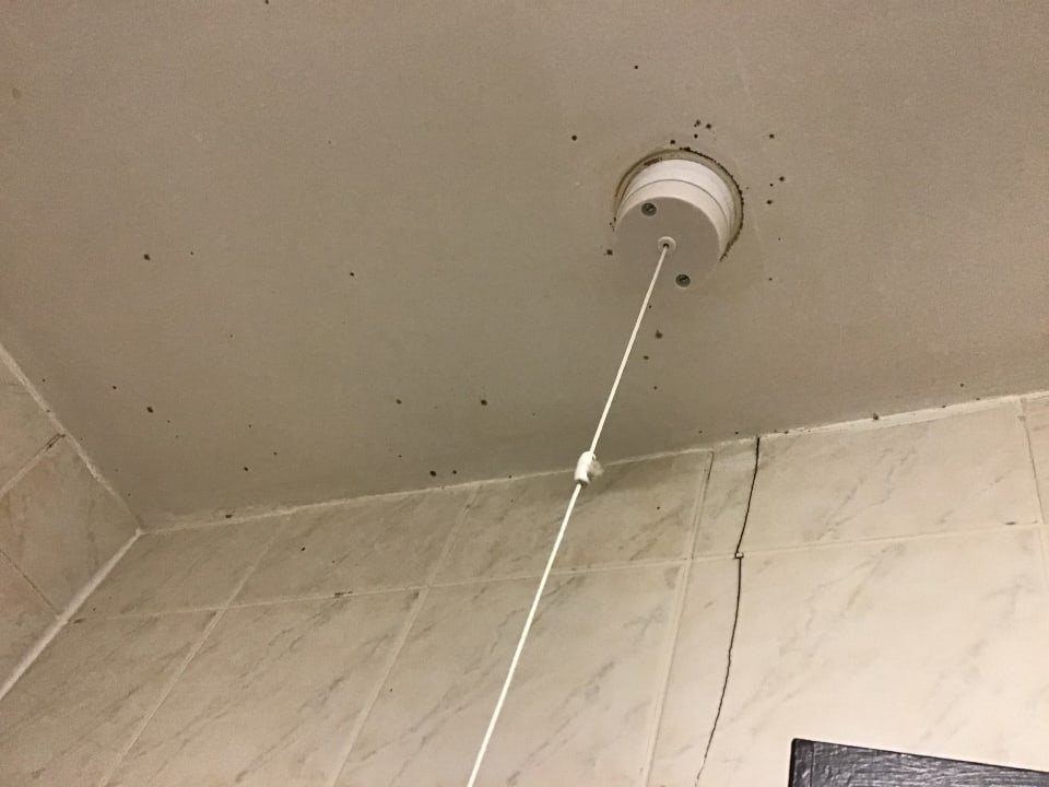 Zimmer Hotel Firs Lodge