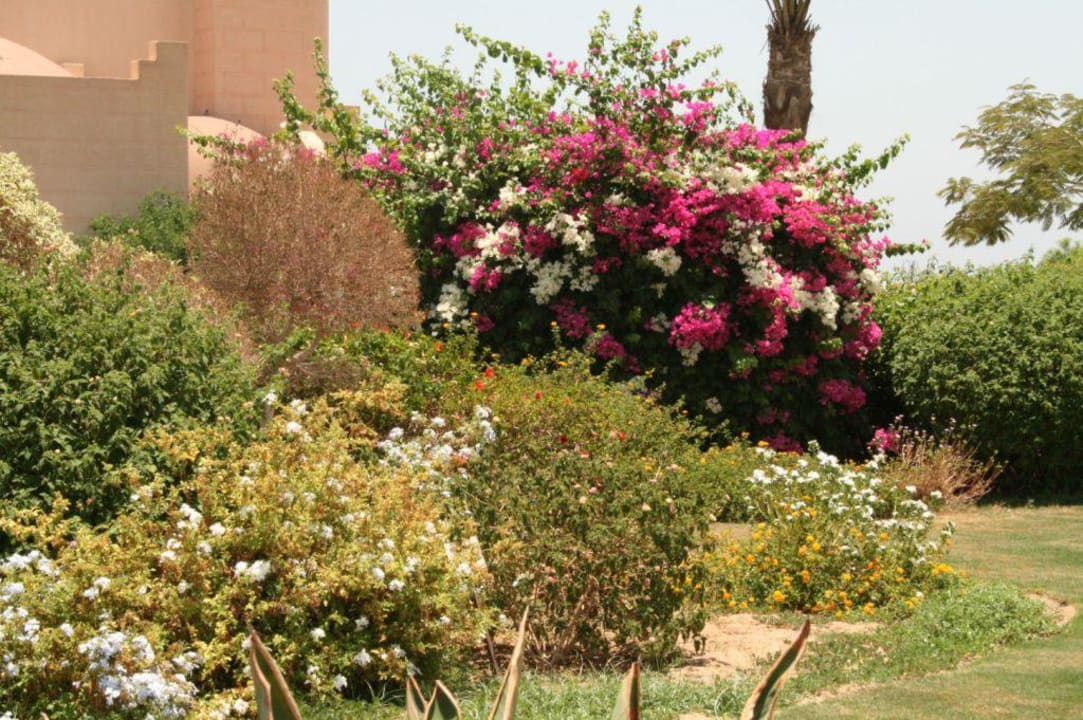 Garten des Hotels Sentido Akassia Beach