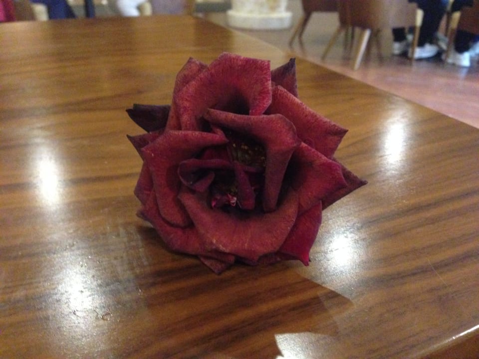 Sonstiges Pickalbatros Citadel Resort