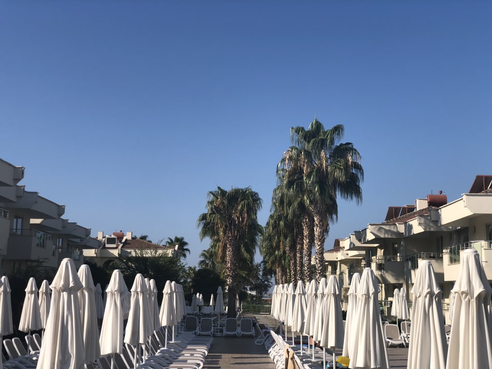 Ausblick Dream Family Club