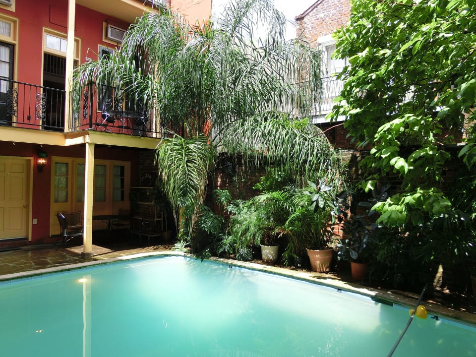 Garten/Pool hinterhof The Olivier House Hotel