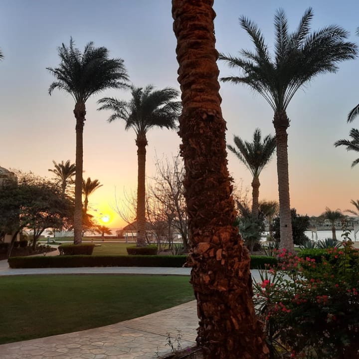 Ausblick Steigenberger Coraya Beach - Adults only