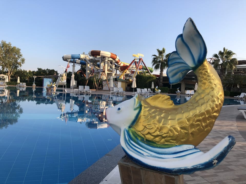 Pool Hotel Delphin Imperial