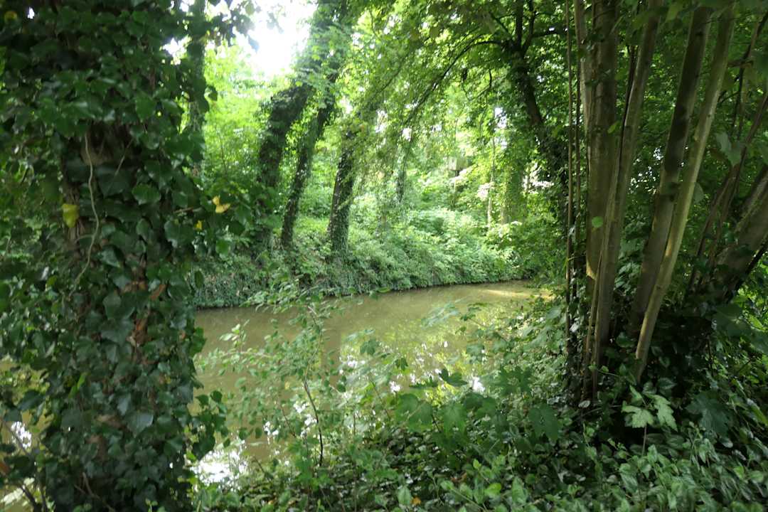 Ausblick Architektenhaus am Pewsumer Tief