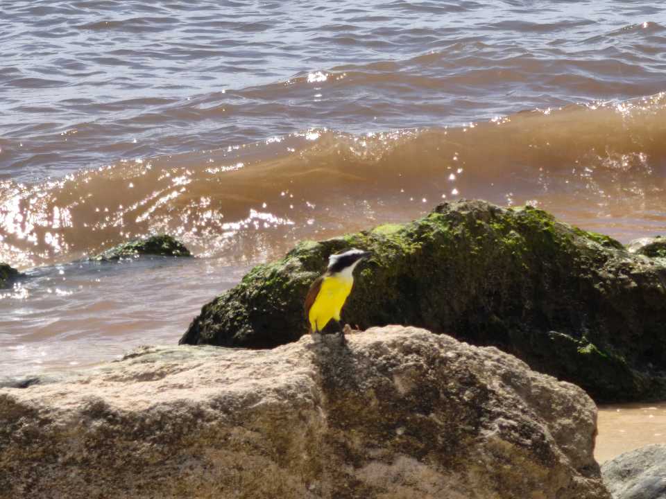 Strand Viva Azteca by Wyndham - All Inclusive Resort