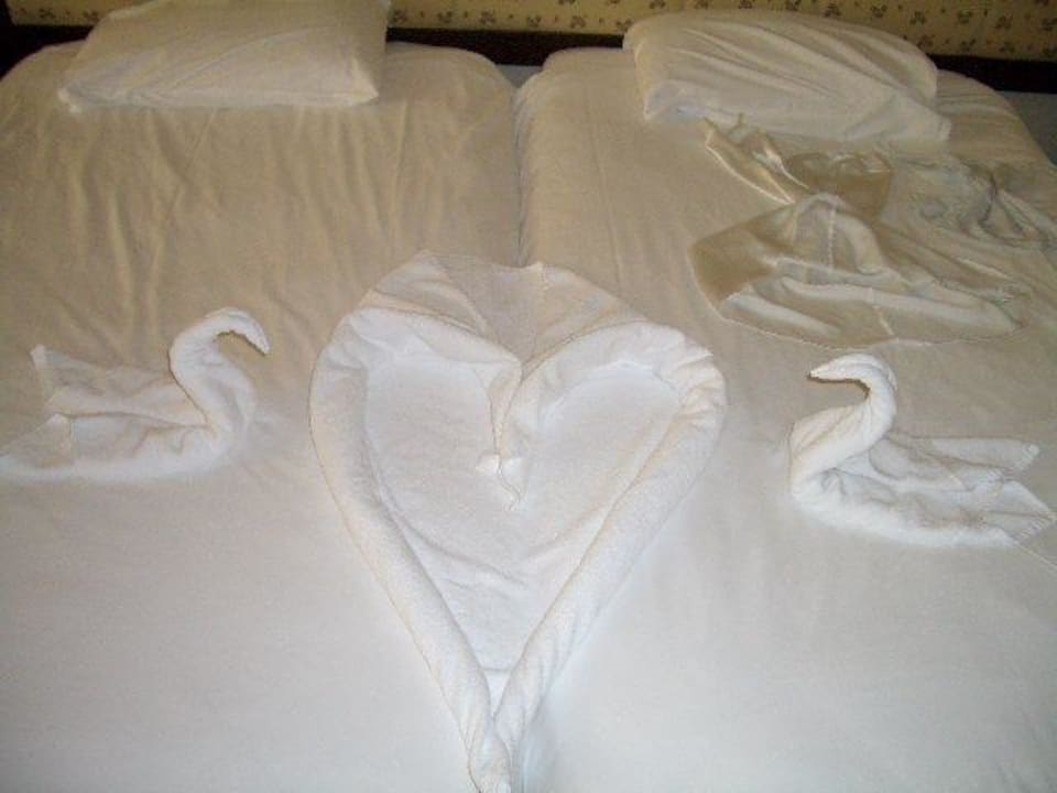 Nette Überraschung Asteria Collection Side