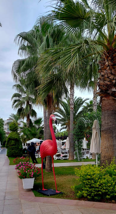 Gartenanlage Belek Beach Resort Hotel