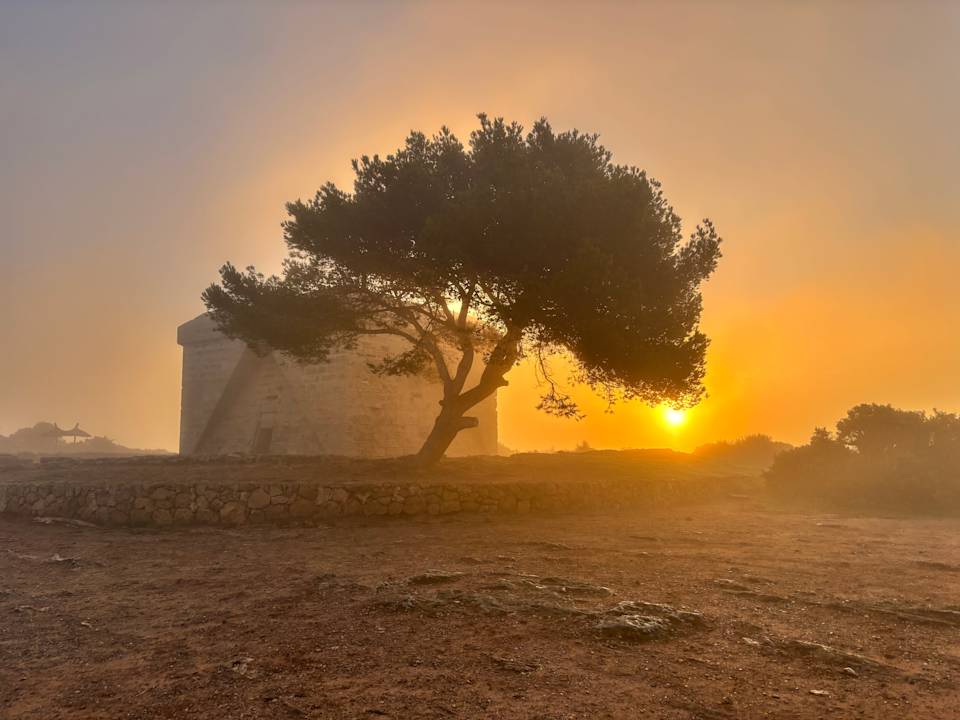 Sonstiges allsun App.-Hotel Orient Beach