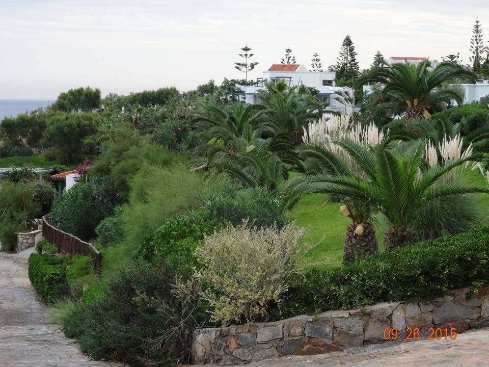 Anlage Iberostar Waves Creta Panorama & Mare
