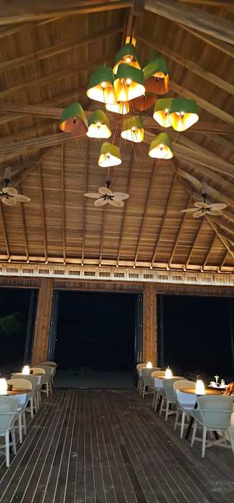 Gastro ananea Madivaru Maldives