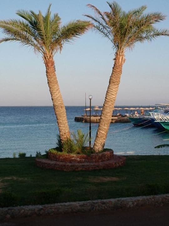 Der Ausblick vom Pool Arabella Azur Resort