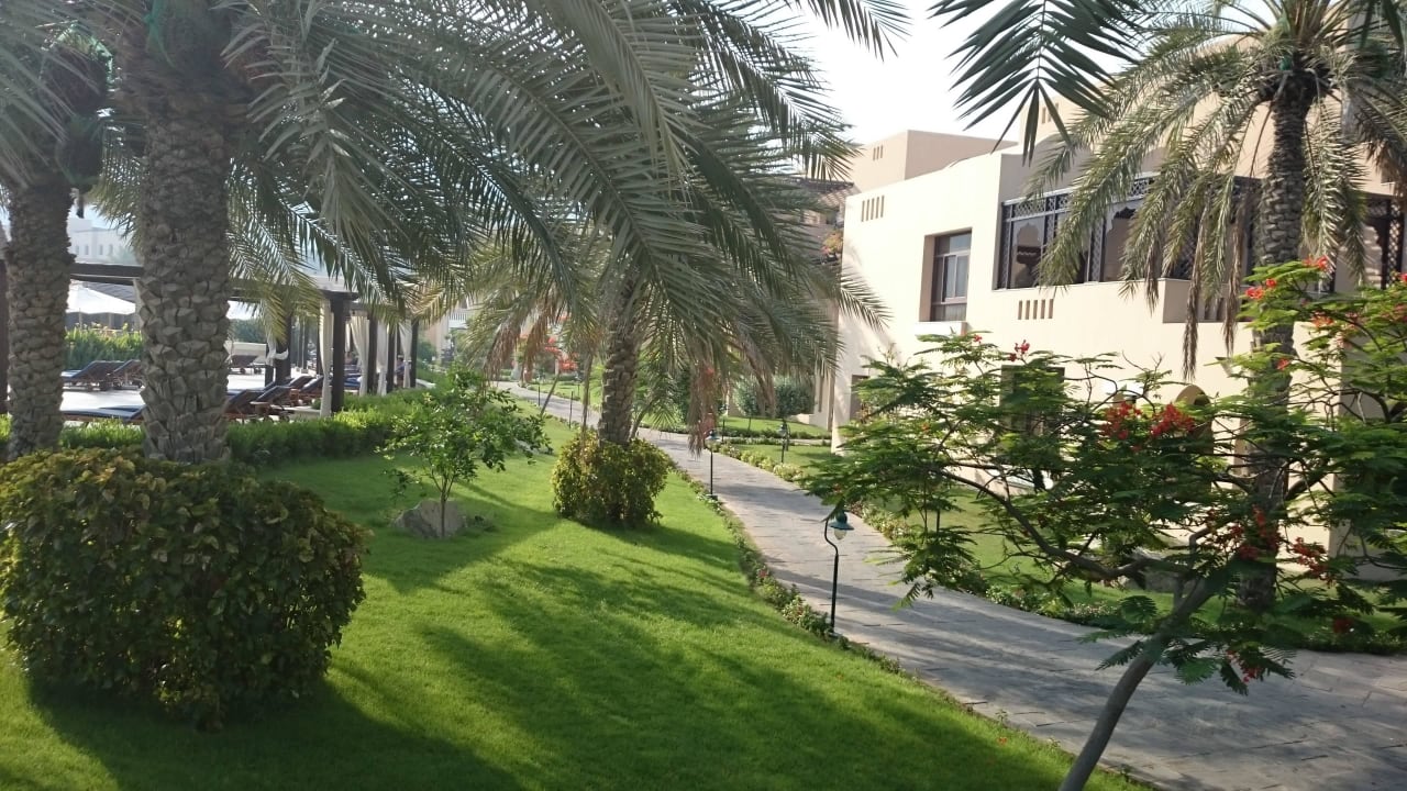 Hotel Iberotel Miramar Al Aqah Beach Resort Miramar Al Aqah Beach Resort