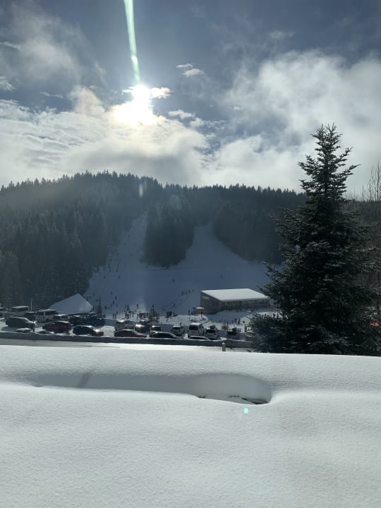 Ausblick Waldhotel am Notschreipass