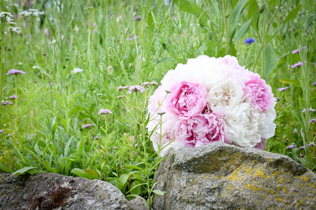 Gartenanlage Schloss Wulkow