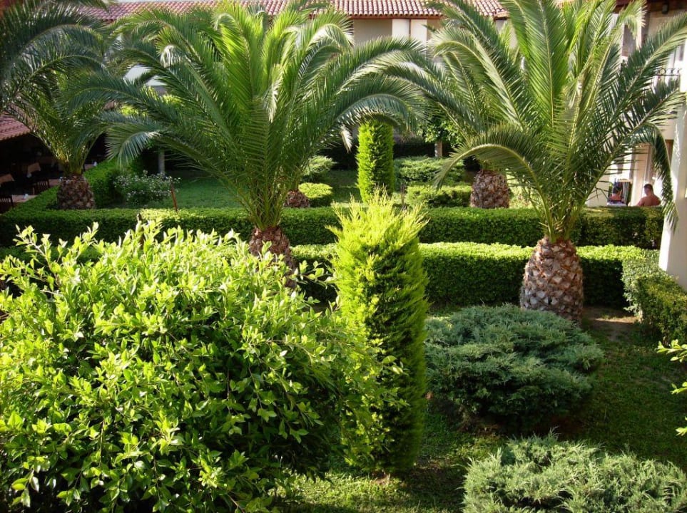 der Garten vom Kerem Resort Tiana Beach Resort