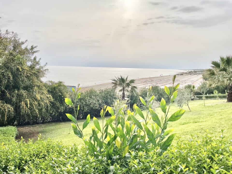 Ausblick Can Garden Resort