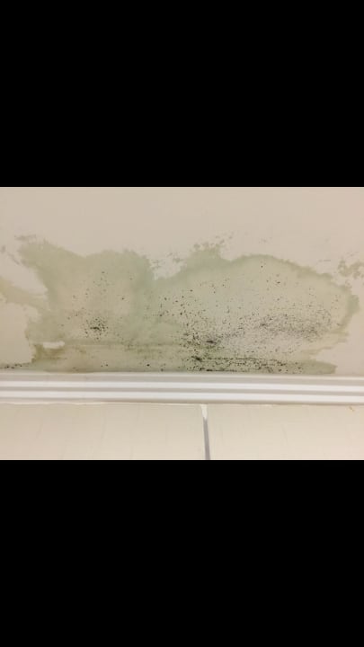 Schimmelpilze Starlight Resort Hotel