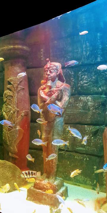 Sonstiges Saturn Palace Resort Hotel